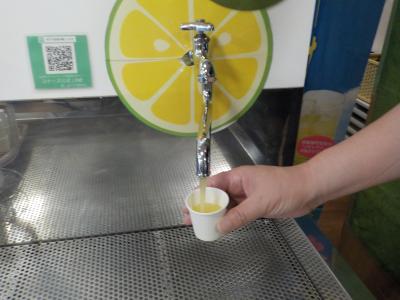 JALセールで沖縄へ 糸満、豊崎 前半