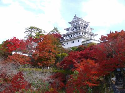 2022・温泉の秋！　片山津温泉と明宝温泉へ２泊３日【③明宝温泉→郡上八幡寄ってみたらお城が大炎上（紅葉）してた】