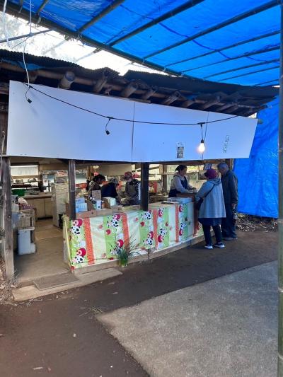 印旛日本医大の吉高の大桜と印西牧の原のBIGHOPガーデンモール印西に行った日の散歩