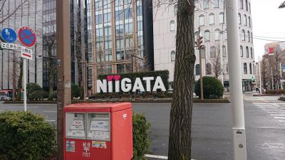 初新潟さるく 3月入っても北はさみい