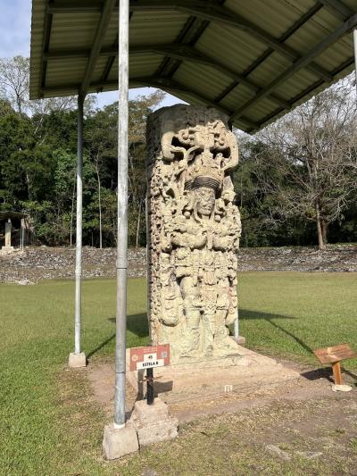 中央アメリカ オーロラ遊覧飛行の旅!? 3