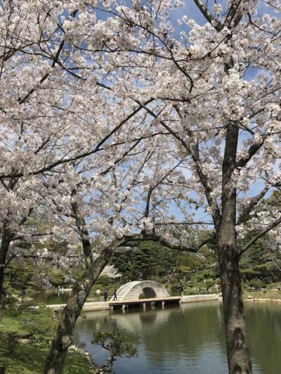 桜の季節に広島　2024