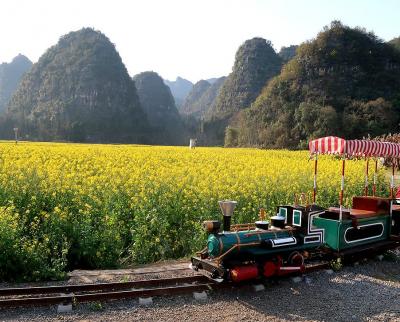 団塊夫婦の中国南部絶景の旅・２０２５－（１）出発から菜の花満開の万峰林風景区へ