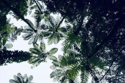 初めての奄美大島