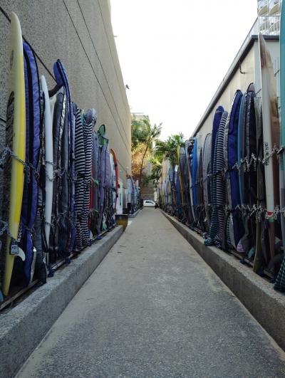 20年ぶりのハワイ 6日目 3/4