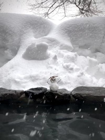 「どこかにビューーン」で奥信濃から長野　野沢温泉篇