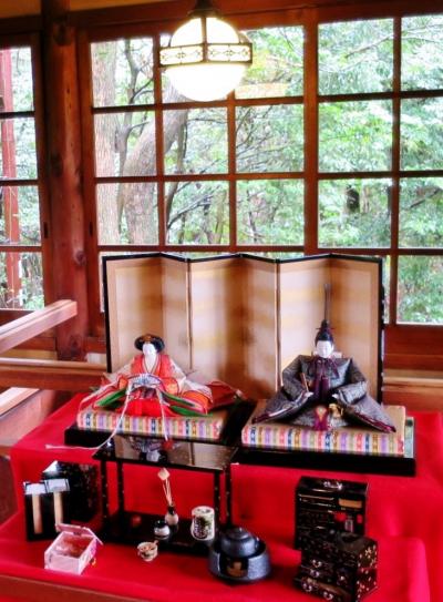 早春の「京都植物園」と「天壇」の焼肉と「茂庵」のアールグレー