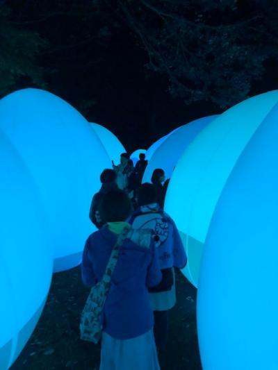 癒しの温泉と山中湖