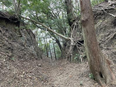 2025年03月　熊野古道ハイキング　伊勢路３　熊ヶ谷道（三浦峠道）