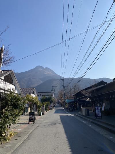 2025年3月 アフリカンサファリと由布院観光