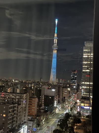 スカイツリーが見えない！見えた？雪がすごかった東京滞在記「ロッテシティホテル錦糸町」