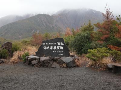鹿児島冬の夫婦旅③~桜島観光と雪の霧島アートの森~