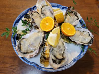 しまなみ海道と小豆島ドライブの旅1日目