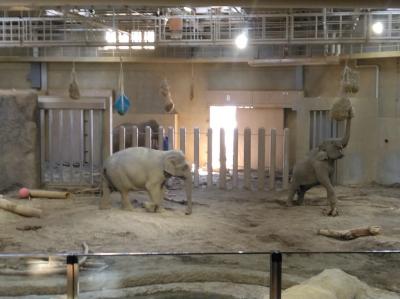 2025スキー遠征2 札幌市街