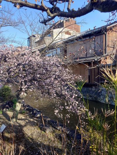 久々の京都★ようやく行けたスイーツ名所巡り★１泊２日の1日目
