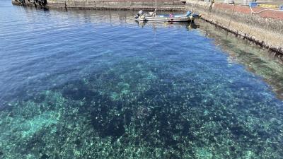 早春の熱海旅行2日目。ニューアカオのインフィニティ温泉で日の出を拝み、魚の干物作り体験、ここは沖縄？初島上陸、熱海プリンなど熱海の魅力満載！