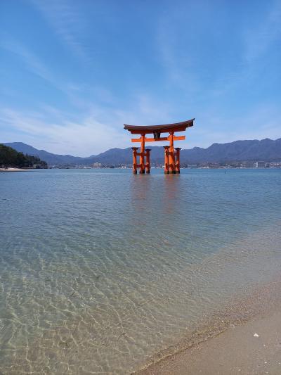 フェリーに乗って宮島へ行きました