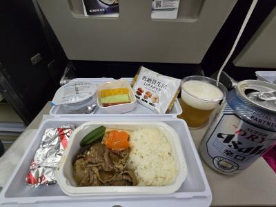 ☆2025.01ソウル☆2泊3日（１日目：大韓航空で関空～金浦/ソルロンタン/ヨンビンホテル）