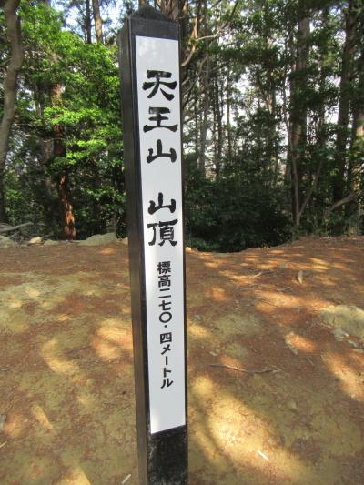 2025年3月　標高270メートル　天下分け目の天王山に一人で登ってみた