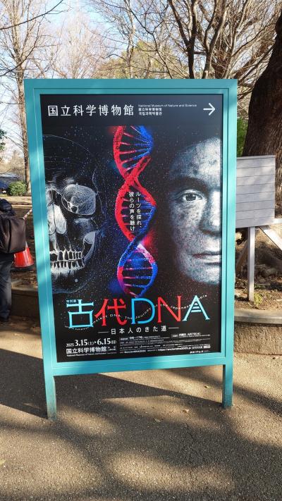 国立科学博物館特別展