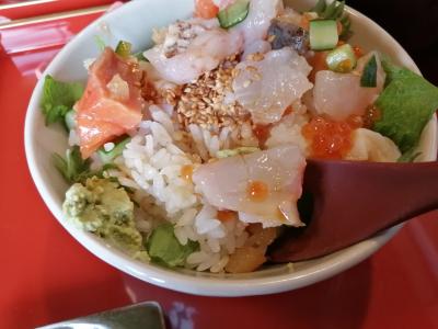 大阪発ええとこ発見きっぷで敦賀が出た