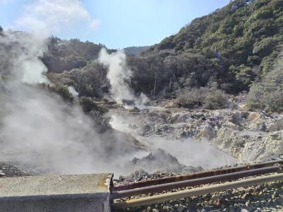 豚しゃぶが食べたいから鹿児島へ行ってみた！