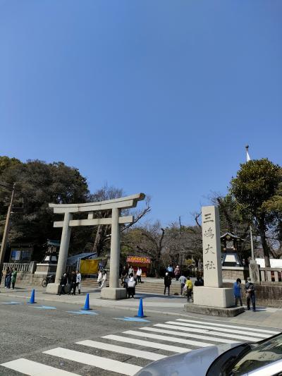 春休み親子3代三島大社&amp;沼津旅①