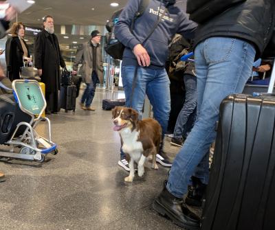 スイスの古都とフランスアルザスへの旅8日間★7.8日目★チューリヒ空港から成田へ帰国