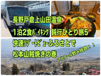 長野戸倉上山田温泉１泊２食バイキング鈍行ひとり旅5 快速リゾートビューふるさとで松本山賊焼きの巻