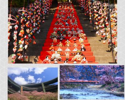 早春の伊豆の旅♪　ループ橋、素盞嗚神社のお雛様＆河津桜♪