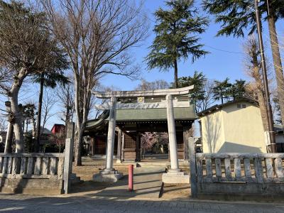 路線バス桜84系統乗り納めと聖蹟桜ヶ丘駅開業100周年