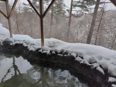 品木ダム中和工場・浅間酒造観光センター・道の駅八ッ場ダムふるさと館・食の駅ぐんま吉岡店・敷島公園★草津温泉ホテルニュー紅葉2025年2月③