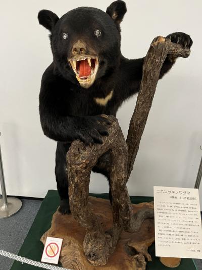どこかにビューン山形2泊３日旅　2泊目　蔵王KKR白銀荘に宿泊