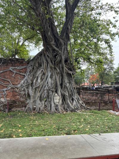 6年ぶりの海外旅行はバンコクへ 2日目