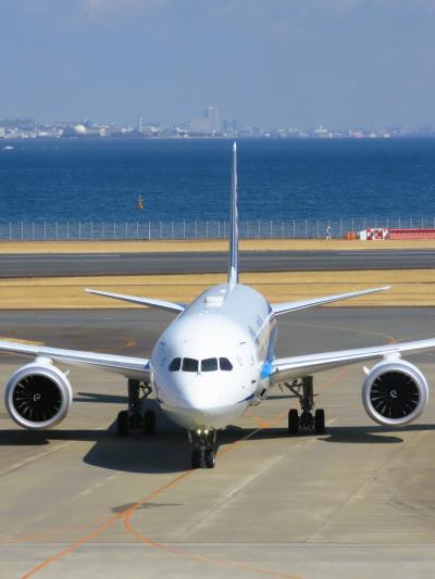 ANA473便-1　羽田空港 13:00/発  沖縄行（38K席）東京湾-京浜-湘南上空　☆南国酒家‐眺望