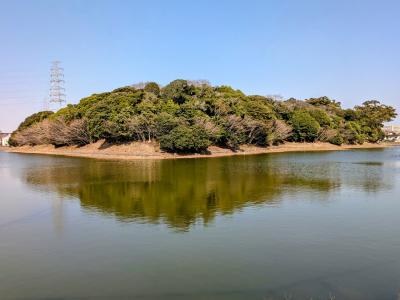 『ふたりでも堺』ダーツの旅♪青春18きっぷで息子に会いに行くついでに〈百舌鳥・古内古墳群～京都泊まり～静岡で寄り道した帰路〉