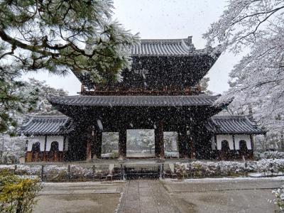 京都冬の旅2025