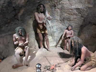 スリランカ旅行