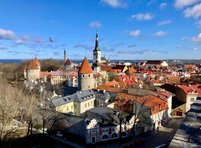⑥中世の街タリン日帰り観光