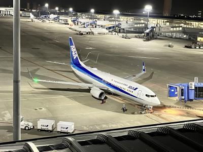 成田からセントレア経由で羽田へ・・・プライオリティパスをフル活用
