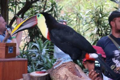 スタアラ世界一周券で中米・南イタリアへ　７　ラパズ滝自然公園へ