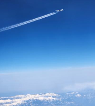 ANAsaleで思わずポチってしまった