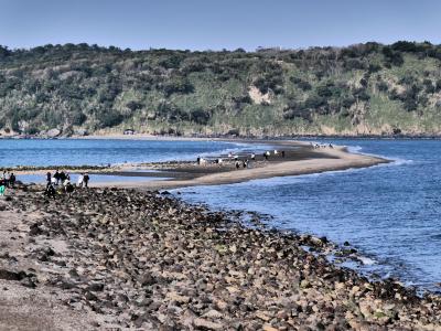 パナソニック「LUMIX TZ99」試し撮りTrip　　指宿と湧水町へ