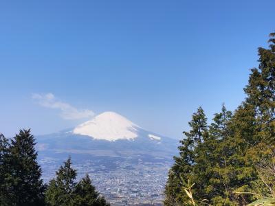 2025金時山登山ついでに