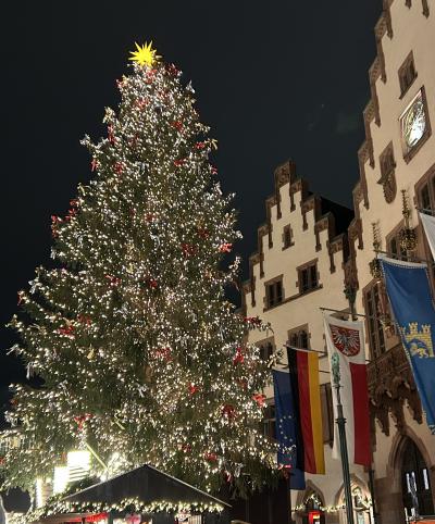 2024冬 GutenTag!本場ドイツのクリスマスマーケットを巡る旅1(フランクフルト)