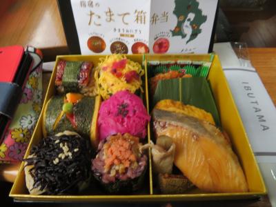 ちょこっと指宿（JRたまて箱＆砂蒸し風呂）