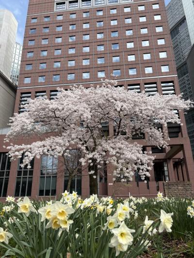 思春期息子との欧州親子2人旅(ドイツ編8)       東横インへの行き方