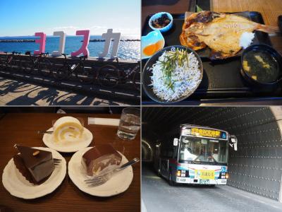 ジハングン横須賀＆逗子・さかな食堂と良純さん御用達の洋菓子店＆横浜の秘境トンネル路線バス♪ルイルイ