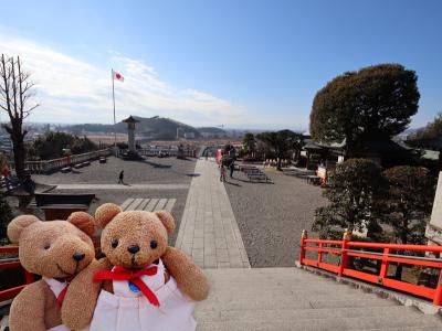 あしかがフラワーパーク 光の花の庭2025(5)織姫神社の昔と今を比べてみた