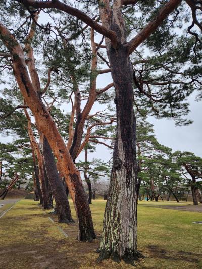 五稜郭の後は(笑)